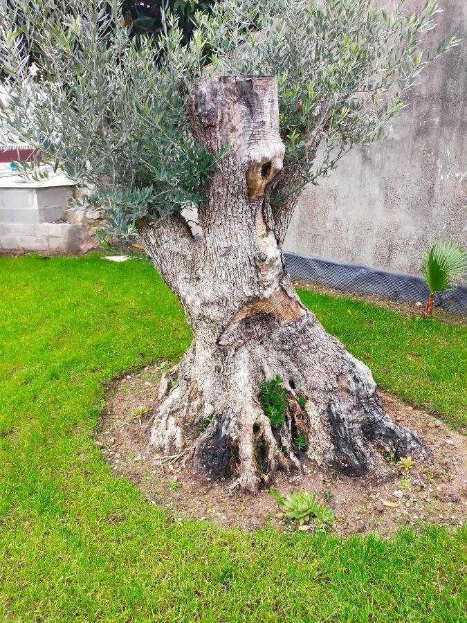 فيلا Casinha Do Rio Soure المظهر الخارجي الصورة