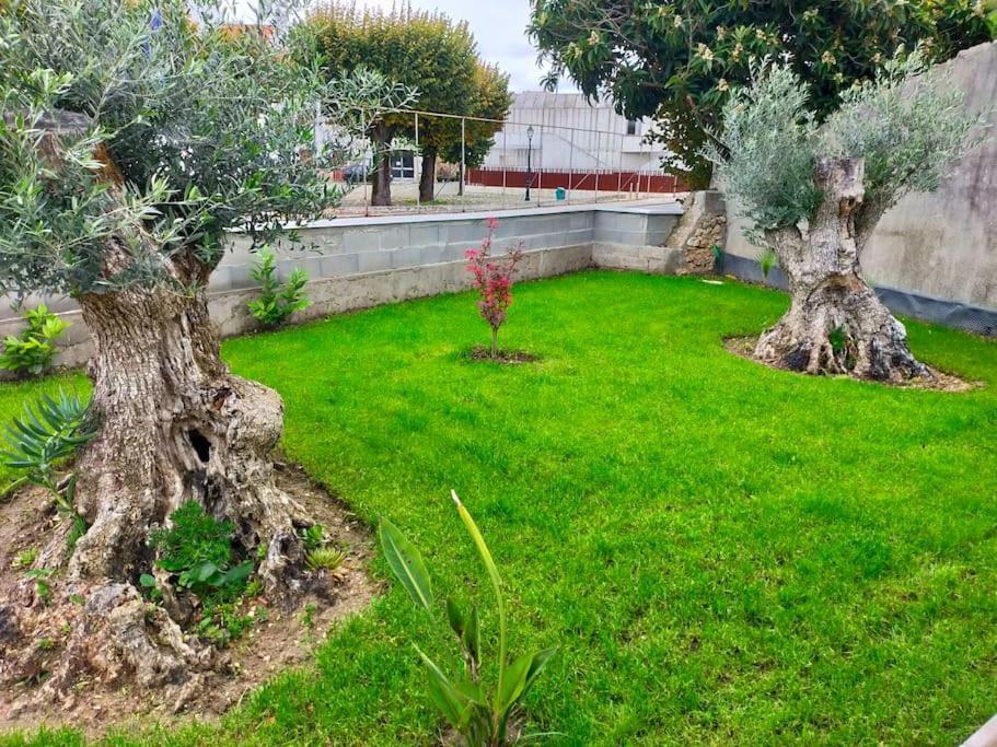 فيلا Casinha Do Rio Soure المظهر الخارجي الصورة